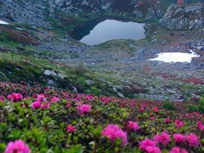 lago del pizzo ormea